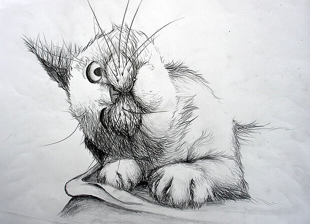 Katze IV, Mappenarbeit für Kunststudium