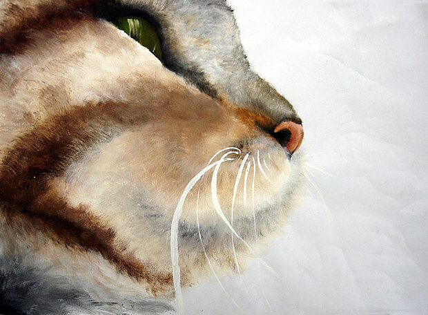 Katze II, Mappenarbeit für Kunststudium