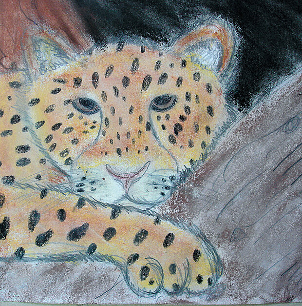 Leopard